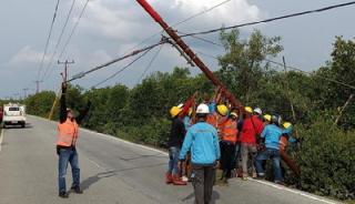 Empat Tiang Listrik Tumbang di Jalan, PT PLN Rayon Bengkalis Sigap Turunkan Belasan Tim Teknis