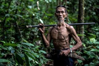 Terakhir di Kalimantan, Hutan Suku Pemburu dan Peramu Terancam